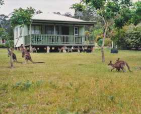 Berringer Lake Holiday Cottages - Kingaroy Accommodation 0