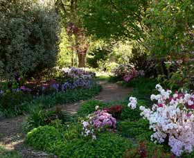 Wombat Hill Bed And Breakfast - Kingaroy Accommodation 0