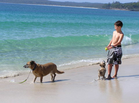 A Paradise Bungalow Waterfront - Kingaroy Accommodation 1