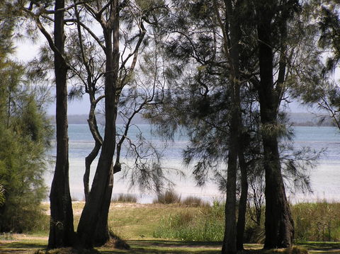 A Paradise Bungalow Waterfront - Kingaroy Accommodation 5