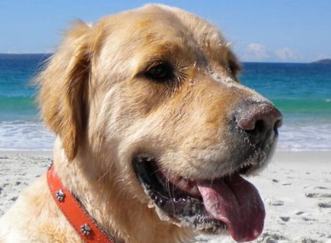 Plantation Point Beach House - Kingaroy Accommodation 5