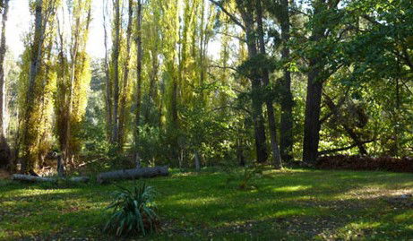 Old England Accommodation - Kingaroy Accommodation 2