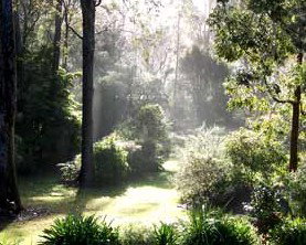 The Bawley Bed And Breakfast - Kingaroy Accommodation 2