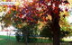Marigold Cottage - thumb 2