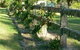 Wombat Hill Bed And Breakfast - thumb 1