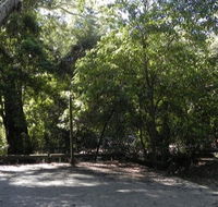 Booderee National Park Green Patch camping area