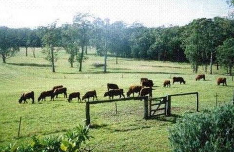 Bella Vista Cottage - Kingaroy Accommodation 1