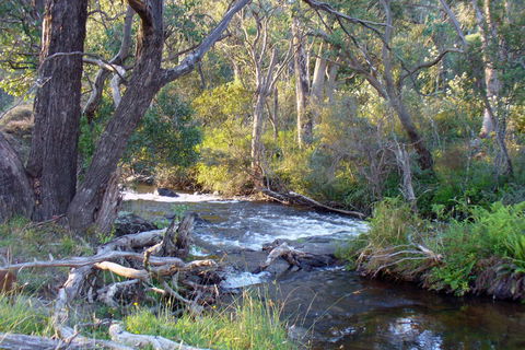 Paddys River Cottage - Kingaroy Accommodation 2