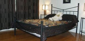 Artisans ...on The Hill Bed And Breakfast - Kingaroy Accommodation 2