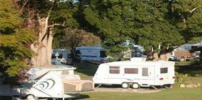 Bellinger River Tourist Park - Kingaroy Accommodation 3