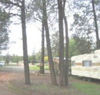 The Kelpie Caravan Park - Kingaroy Accommodation