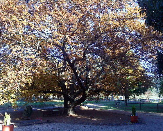Lankeys Creek NSW Kingaroy Accommodation