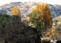 Somerton NSW Kingaroy Accommodation