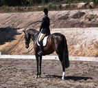 Laguna NSW Kingaroy Accommodation