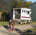 Apptrak Stud - Kingaroy Accommodation 1