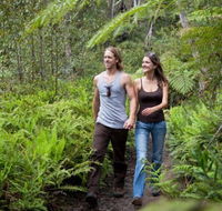 Blackheath Glen Tourist Park - Kingaroy Accommodation