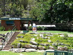 Carinya Ski Ranch - Kingaroy Accommodation 4