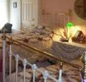 A Winter-Rose Cottage Bed and Breakfast - Kingaroy Accommodation
