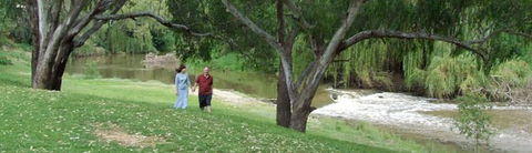 Apex Riverside Tourist Park - Kingaroy Accommodation 4