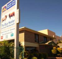 Best Western Cattle City Motor Inn - Kingaroy Accommodation