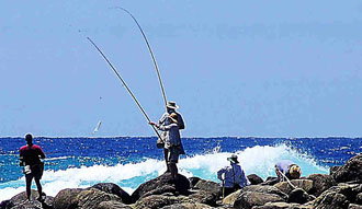 Fraser Island Fishing Units - Kingaroy Accommodation 3