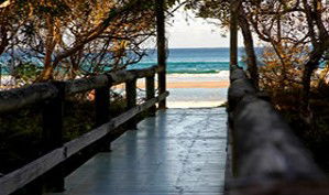 Anchorage Beachfront Island Resort - Kingaroy Accommodation 4