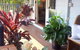 Amore Bed And Breakfast - thumb 5