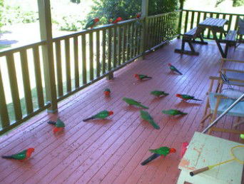 A Little Bit Of Heaven - Holiday Home - Kingaroy Accommodation 8