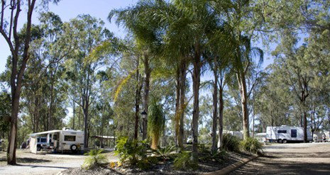 Barambah Bush Caravan Park - Kingaroy Accommodation 1