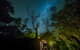 Kerriley Park Forest And Farmstay - thumb 6