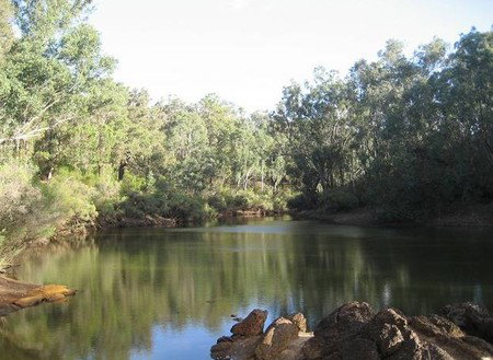 Nannup River Cottages - Kingaroy Accommodation 4