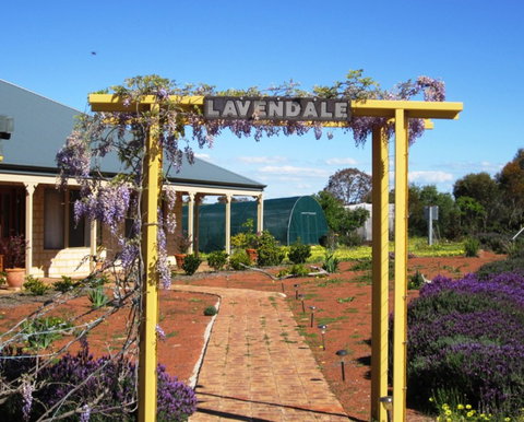 Lavendale Farmstay And Cottages - Kingaroy Accommodation 0