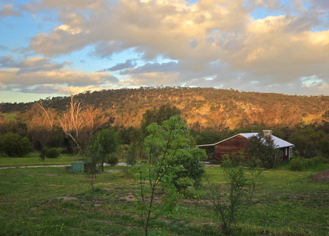 Lavendale Farmstay And Cottages - Kingaroy Accommodation 4