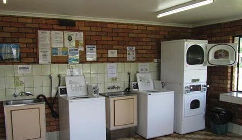 Big 4 Capricorn Palms Holiday Village - Kingaroy Accommodation 5