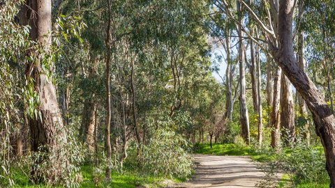 Time Out Holiday Park - Kingaroy Accommodation 1