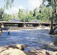 Katherine Low Level Caravan Park - Kingaroy Accommodation