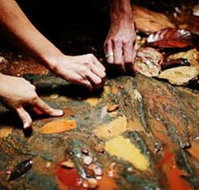 Daintree Eco Lodge And Spa - Kingaroy Accommodation