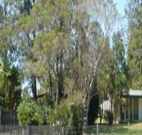 Nimbin Backpackers at Grannys Farm - Kingaroy Accommodation