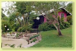 Jacaranda Cottage - Kingaroy Accommodation 2