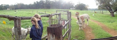 Donnybrook WA Kingaroy Accommodation