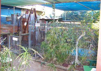 Safari Lodge Motel - Kingaroy Accommodation 1