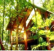 The Canopy Treehouses