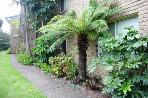 Beachfront Units Merimbula - Kingaroy Accommodation 3