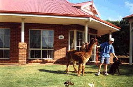 Kingaroy Accommodation
