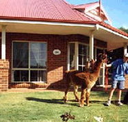 Brilea Cottages - Kingaroy Accommodation