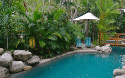 Port Douglas Coral Apartments - Kingaroy Accommodation 0