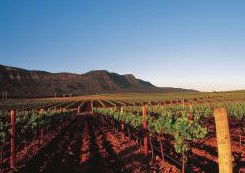 Peppers Guest House Hunter Valley - Kingaroy Accommodation 2