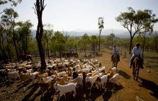Kroombit Park At Lochenbar Station - Kingaroy Accommodation 1