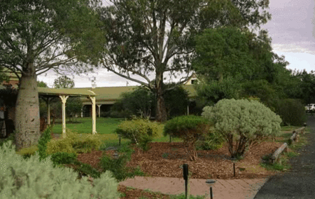 Quality Inn Overlander Homestead - Kingaroy Accommodation 4