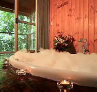 Tree Houses Of Montville - Kingaroy Accommodation